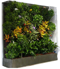 Modular Biospherics: Living Walls in Corridors