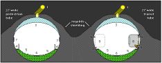 ped-transitways.gif