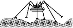 Lunar Spider